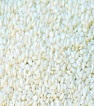 Sesame White Hulled