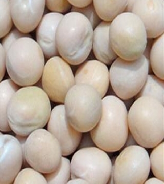 White Dry Peas