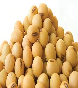 Soybean Whole