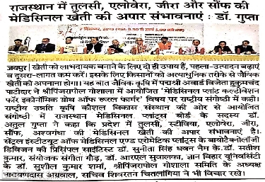 राजस्थान में तुलसी, एलोविरा, जीरा, और सॉफ की मेडिसिनल खेती की अपार संभावना 