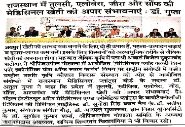राजस्थान में तुलसी, एलोविरा, जीरा, और सॉफ की मेडिसिनल खेती की अपार संभावना